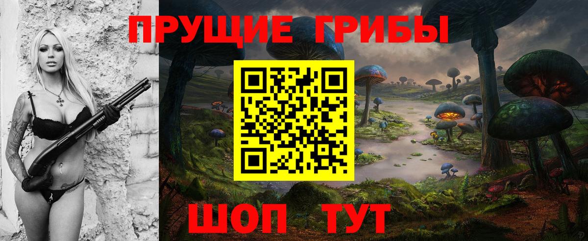 Галлюциногенные грибы Psilocybine cubensis Михайловка